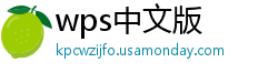 wps中文版